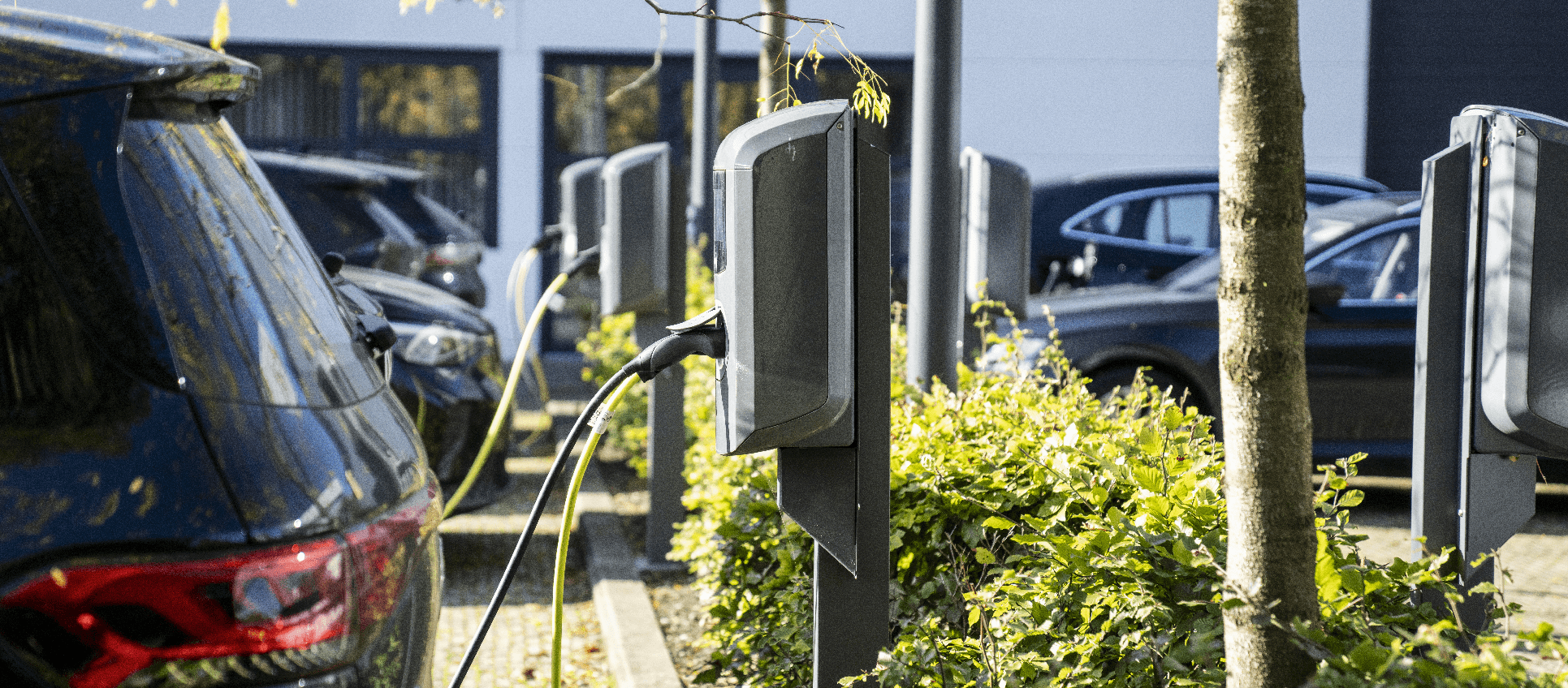 Group De Ceuster case header